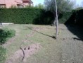 /album/fotogaleria-diseno-y-construccion/img-20130422-174712-jpg1/