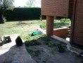 /album/fotogaleria-diseno-y-construccion/img-20130422-174812-jpg1/