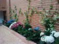 /album/fotogaleria-diseno-y-construccion/img-20130619-124934-jpg1/