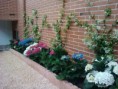 /album/fotogaleria-diseno-y-construccion/img-20130619-124938-jpg1/