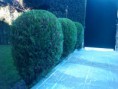 /album/fotogaleria-mantenimiento/img-20131016-184918-jpg2/